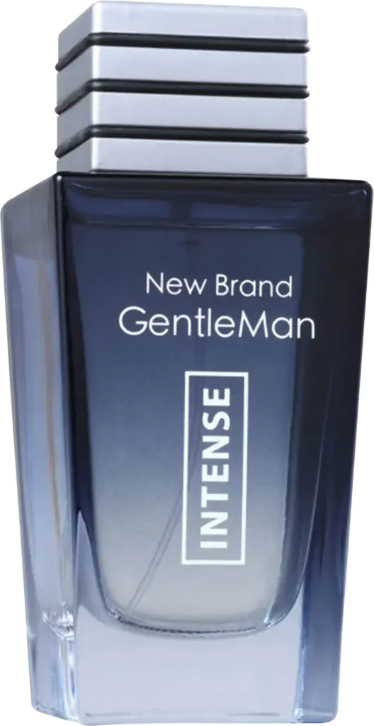 c92aeb23-32bd-4bdc-96b9-e950ee491ca3-new-brand-gentleman-intense-for-men-edt-100ml.webp